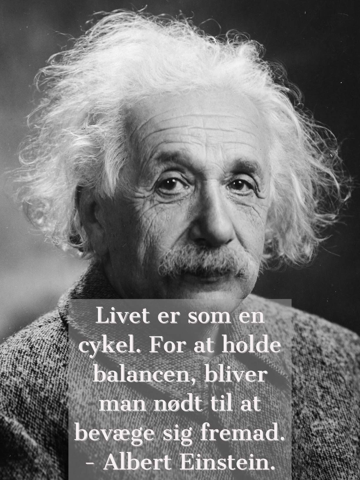 om livet - kloge ord om livet og andre gode citater | citateromlivet.dk